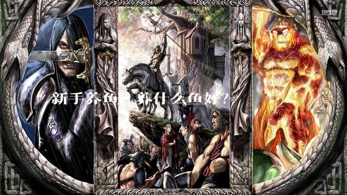 新手养鱼，养什么鱼好？